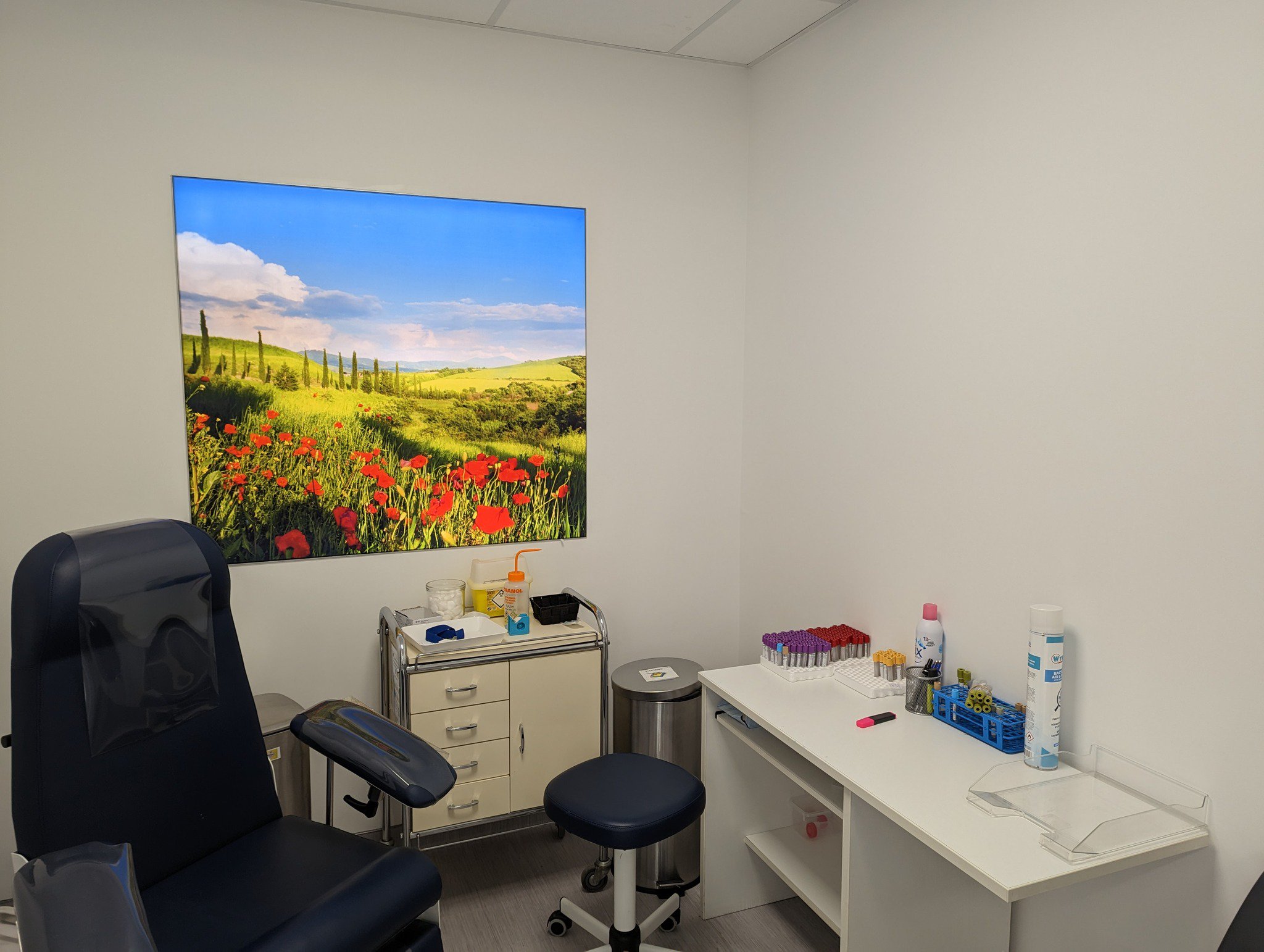 Un cabinet médical avec un grand paysage floral au mur, une chaise bleu marine, un tabouret et un bureau avec les fournitures au Laboratoire Charleville Carnot Bio Ard'Aisne.