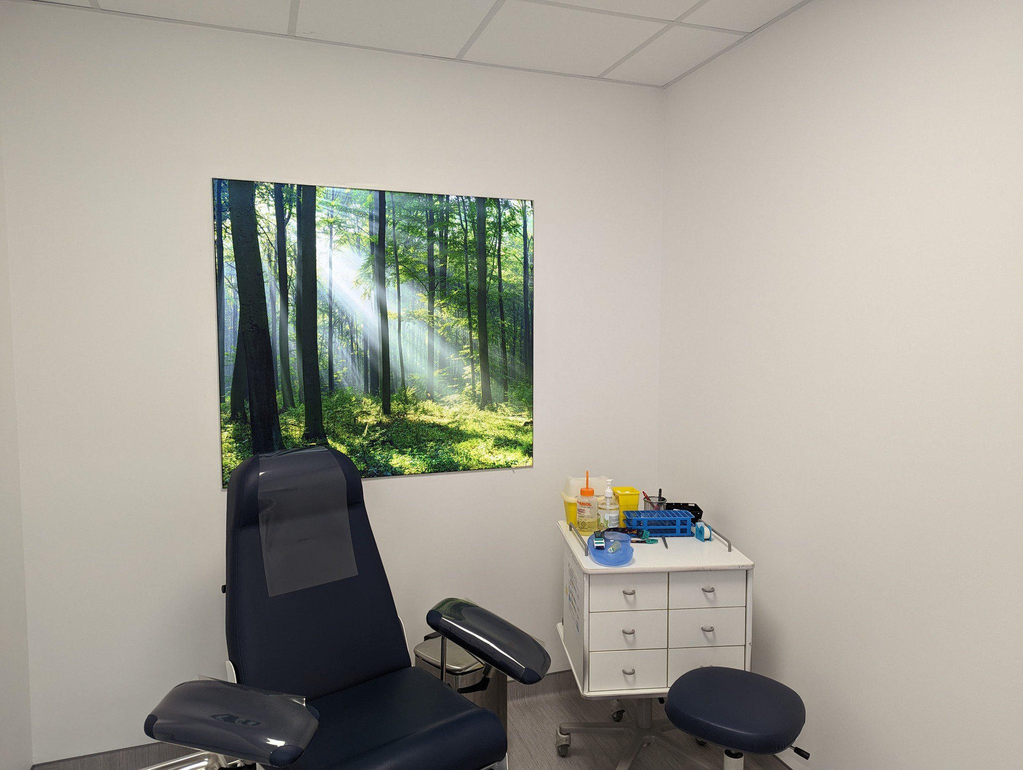 Un cabinet médical moderne avec un fauteuil inclinable et une armoire latérale contenant des fournitures médicales du Laboratoire Charleville Carnot Bio Ard'Aisne, décoré d'une grande photographie murale d'une forêt ensoleillée.